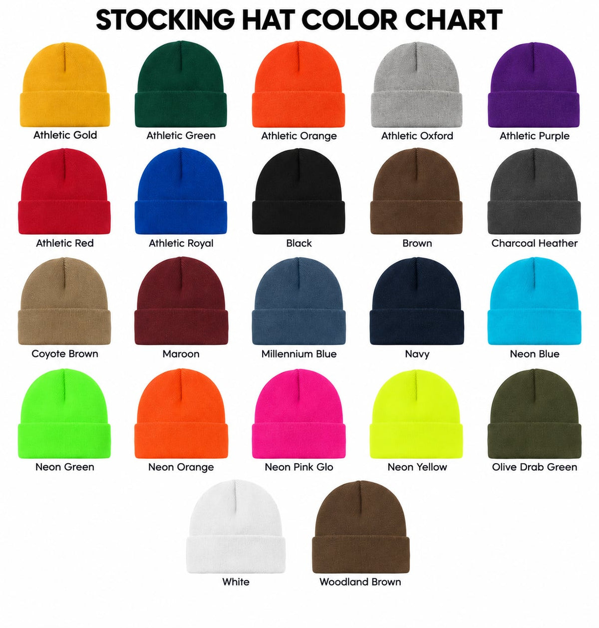 Minnesota Loon Leather Patch Knit Beanie