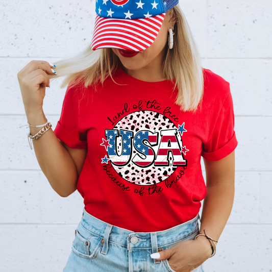 USA Dalmatian