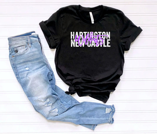 Hartington New Castle Wildcats